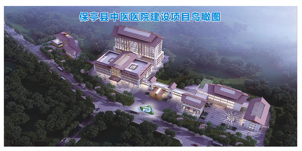 保亭中醫院